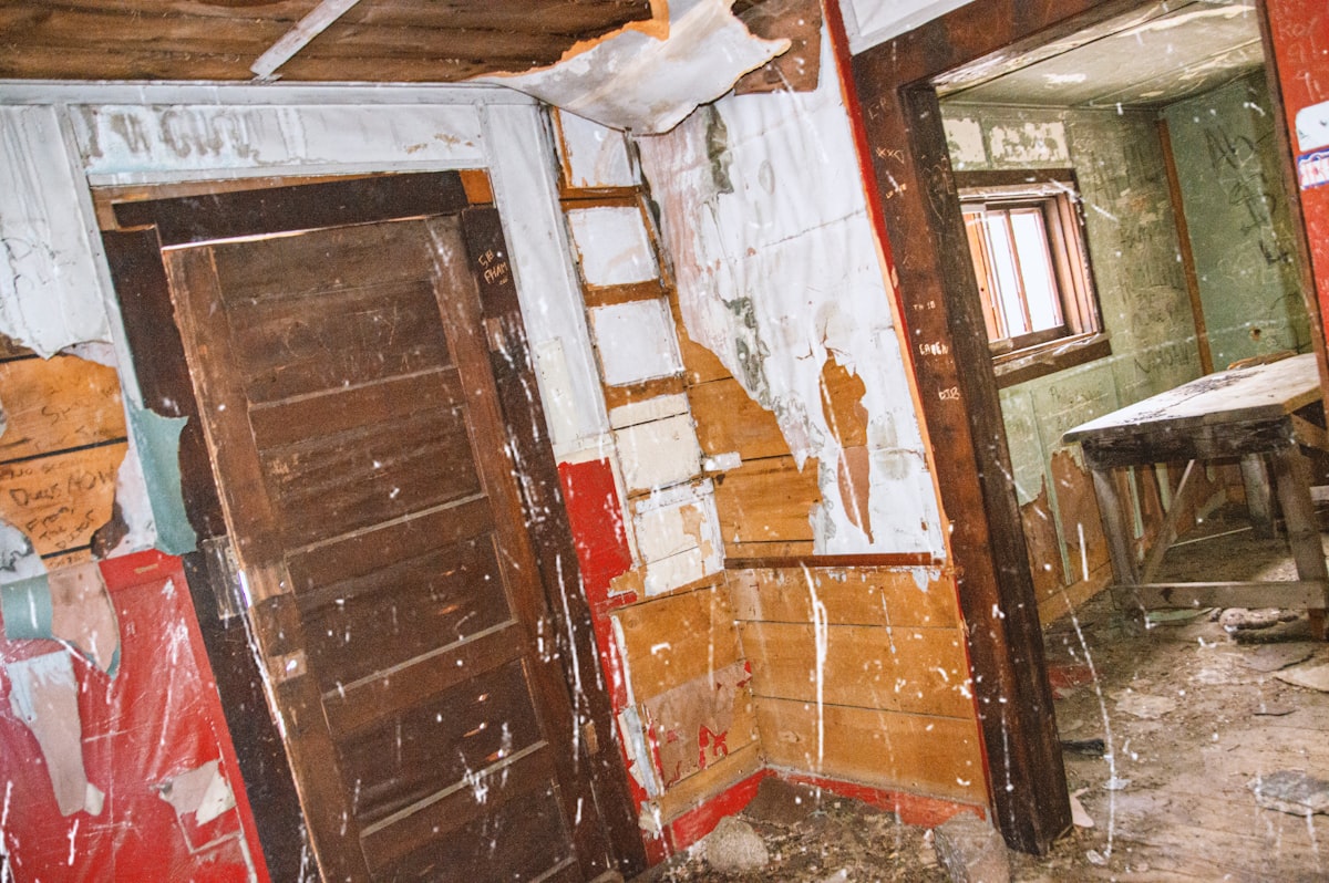 Sewage Cleanup service in Bellevue, WA