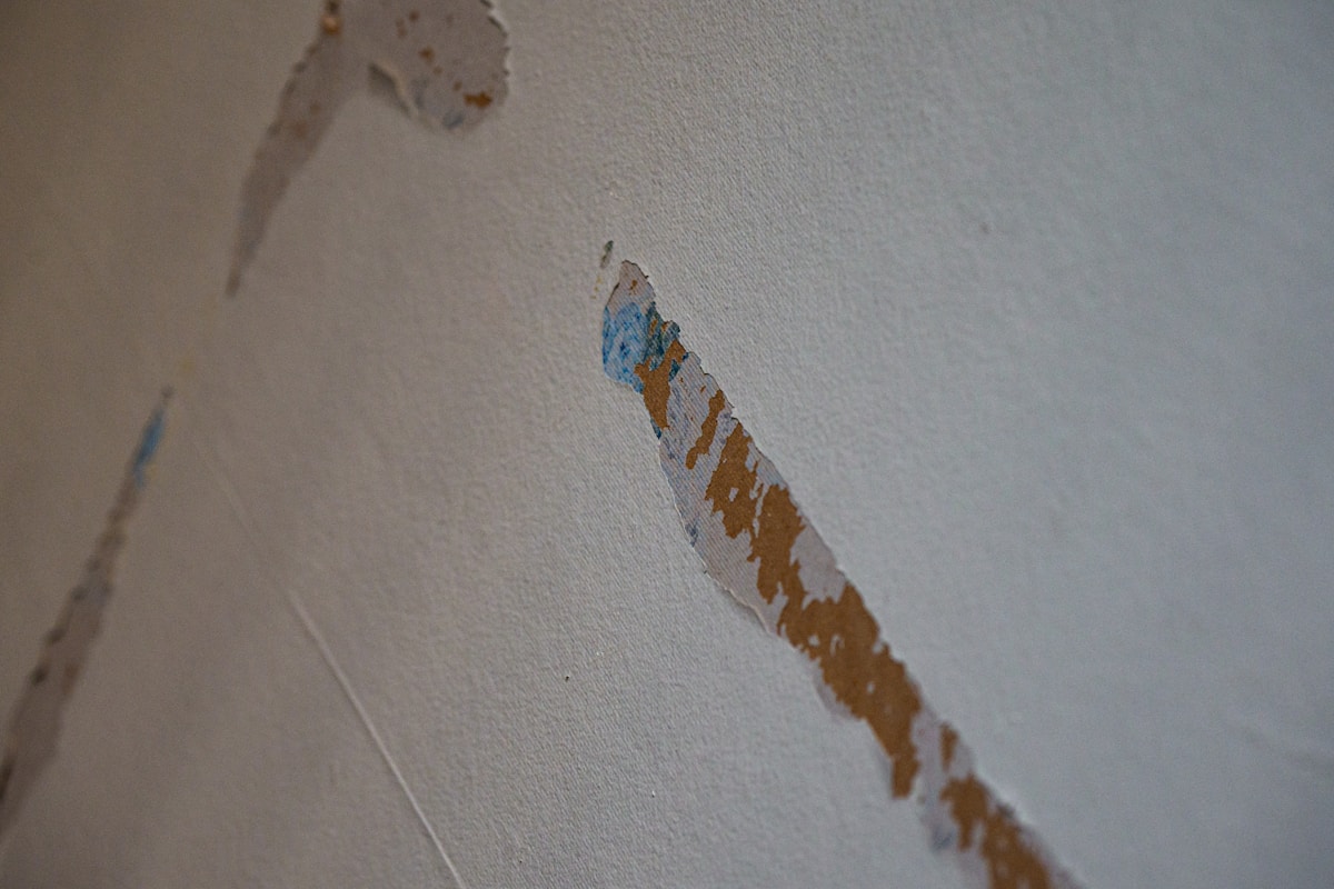 Storm Damage Repair service in Bellevue, WA